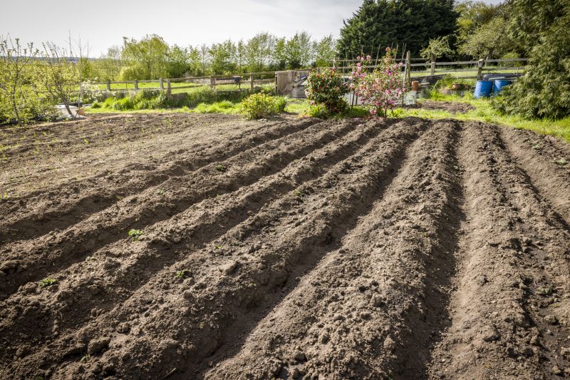 Ground Tilling