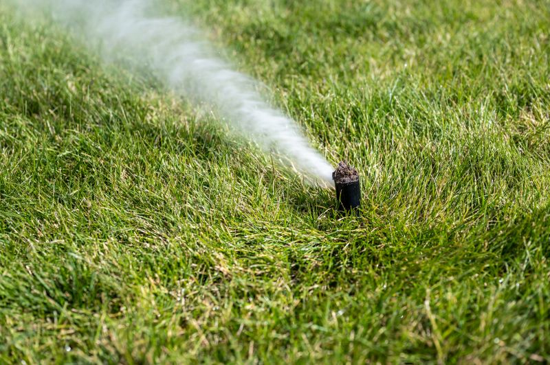 Lawn sprinkler system winterization